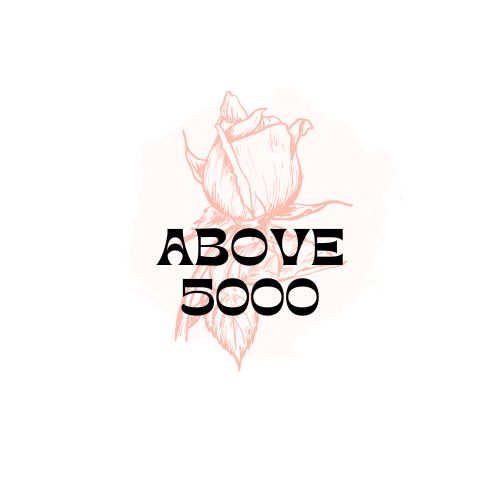 Above 5000 Rs
